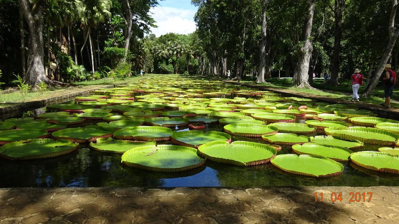 Villa Alexis - Location De Vacances A Trou Aux Biches Buitenkant foto